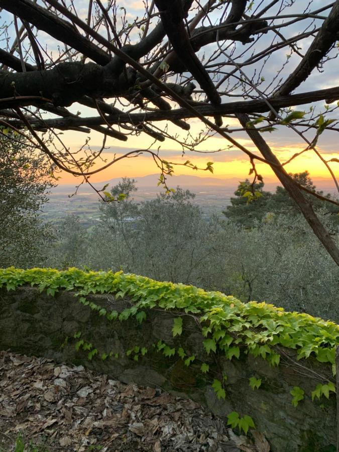 Podere Le Vedute Bed & Breakfast Larciano Exterior photo